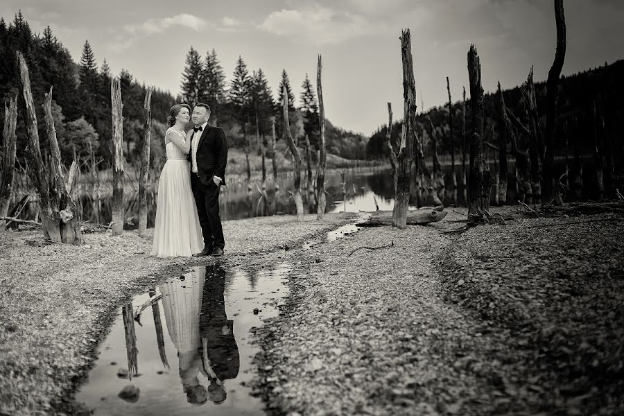 Photographe de mariage Petronela Serbanescu (petronela-serba). Photo du 23 septembre 2016