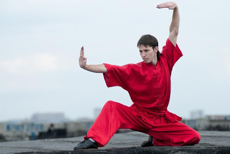 Learn Kung Fu Training 2019(圖8)-速報App