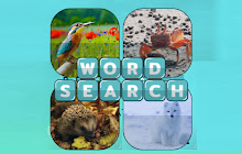 Word Search Pictures small promo image