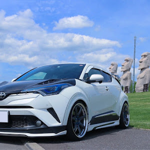 C-HR NGX50