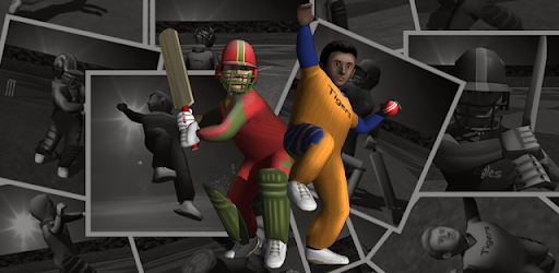 Cricket Evolution Pro