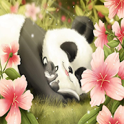 Panda Wallpaper  Icon