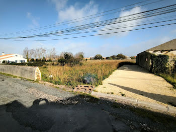 terrain à Saint-Pierre-d'Oléron (17)