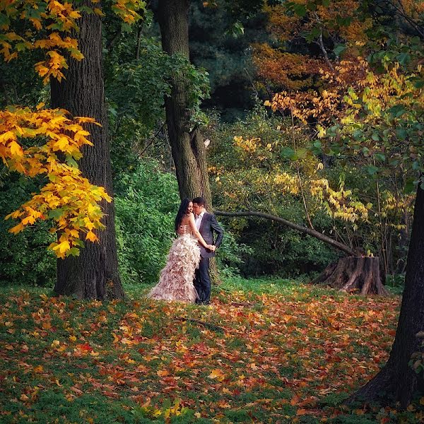 婚礼摄影师Elizaveta Sorokina（soel）。2012 11月23日的照片