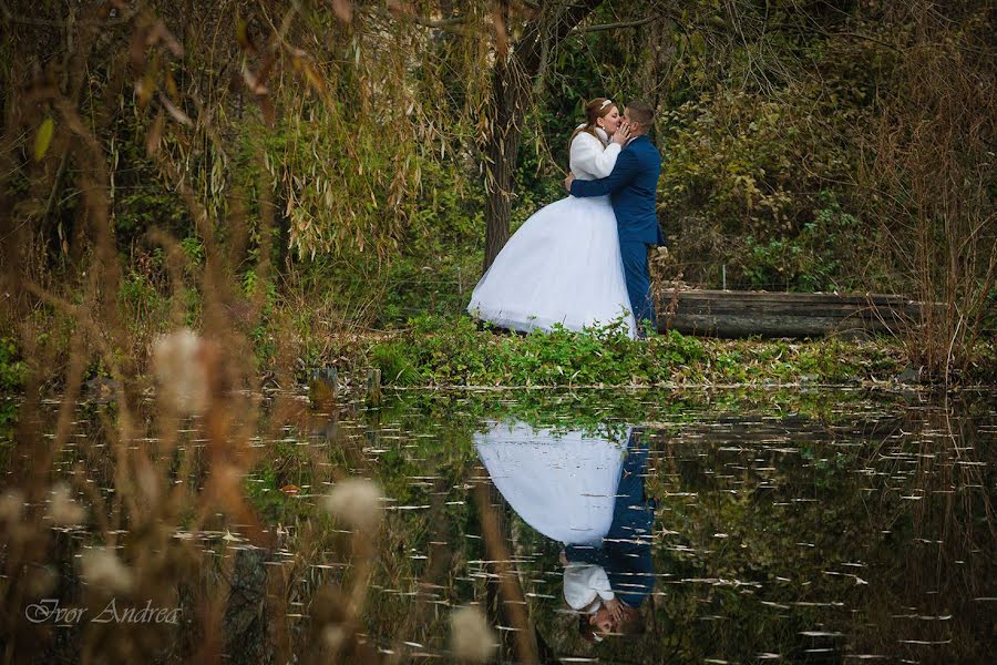 Wedding photographer Andrea Ivor (ivoryfoto). Photo of 3 March 2019