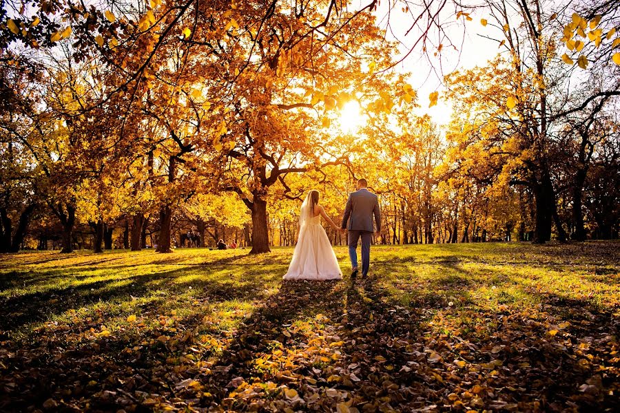 Photographe de mariage Milan Lazic (wsphotography). Photo du 6 décembre 2015