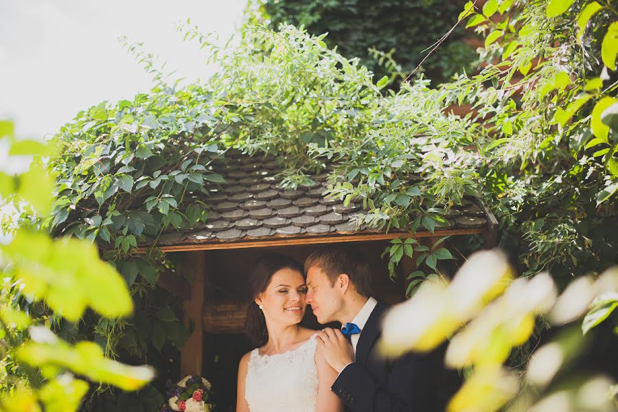 Photographe de mariage Alla Polyakova (allapolyakova). Photo du 21 novembre 2014