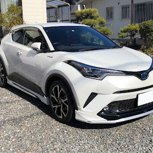 C-HR ZYX10