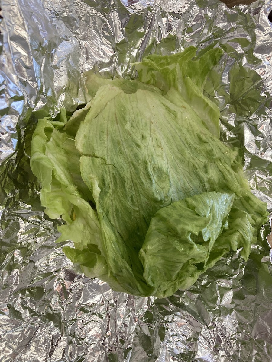 Burger wrapped up in lettuce leaves