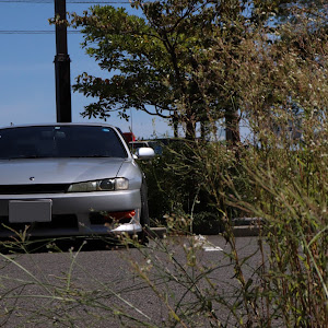 シルビア S14