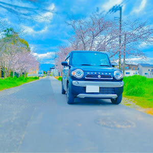 ハスラー MR41S