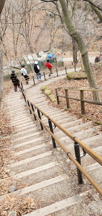 ブルーバードの初詣・ドライブ・妙義神社・おぎのや横川店・めがね橋『碓氷第三橋梁』に関するカスタム事例の投稿画像38枚目