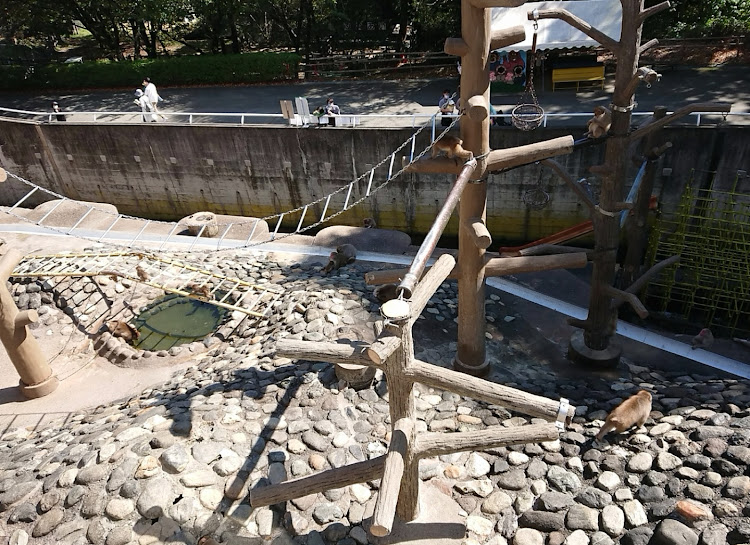 ヴォクシーの家族サービス・動物園・恐竜公園・ファミリーカー大活躍に関するカスタム事例の投稿画像5枚目