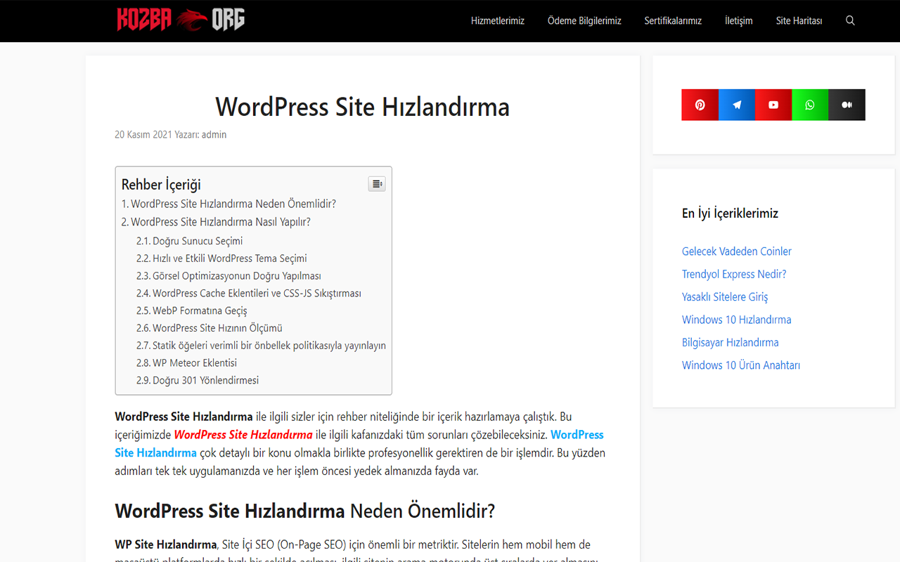 WordPress Site Hızlandırma Preview image 0