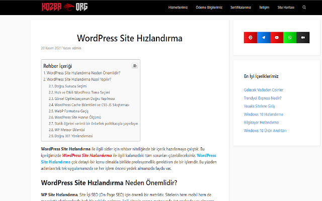 WordPress Site Hızlandırma chrome extension