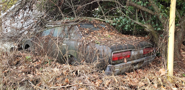 車狂♪︎さんが投稿した草ヒロ愛好会に関するカスタム事例の投稿画像5枚目