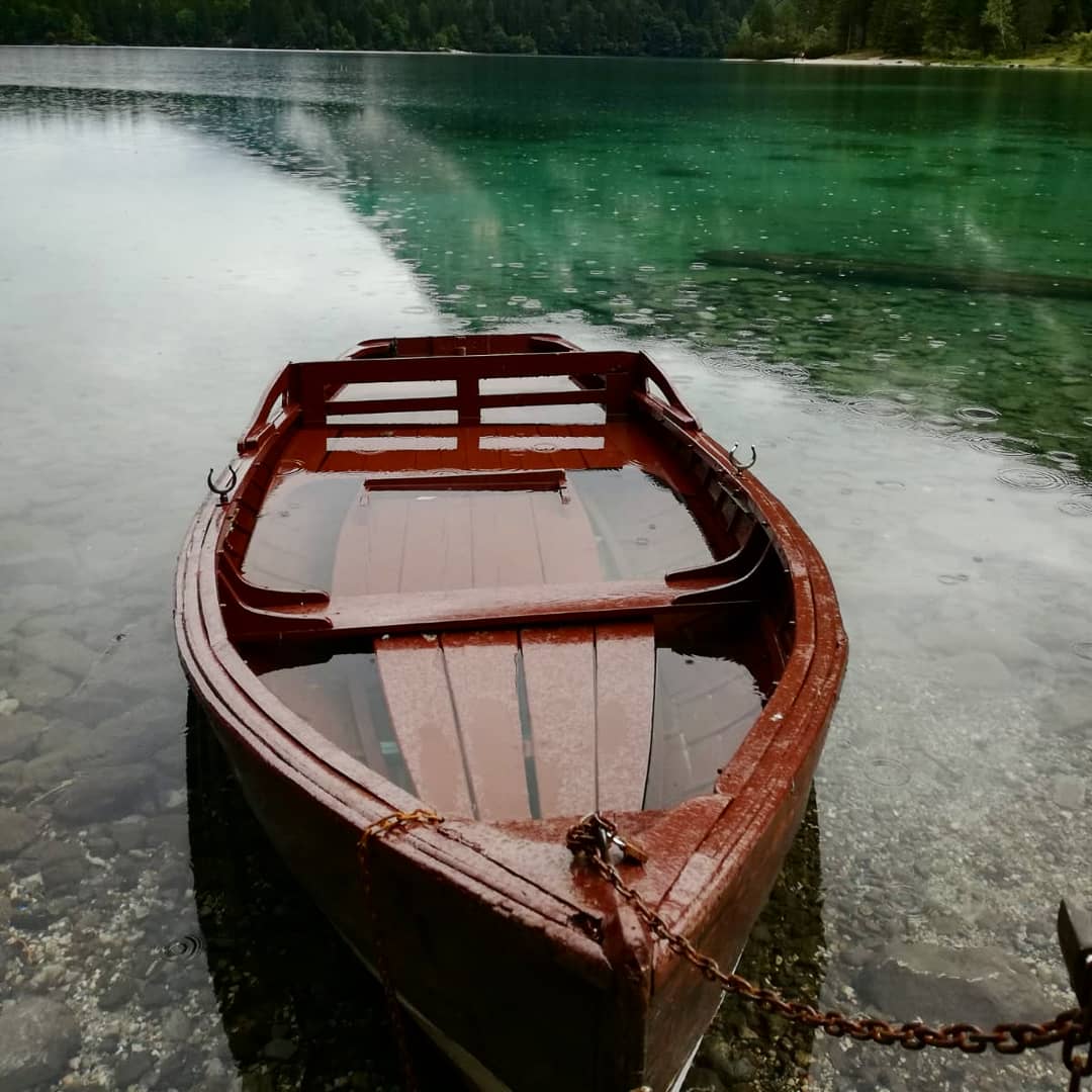 La fine Dell estate di Orsobubusettee