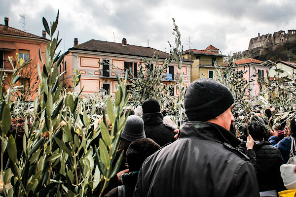 E' emozionante la benedizione dell 'ulivo in  Piazza  di Ro51