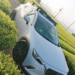 CX-3 DK5FW