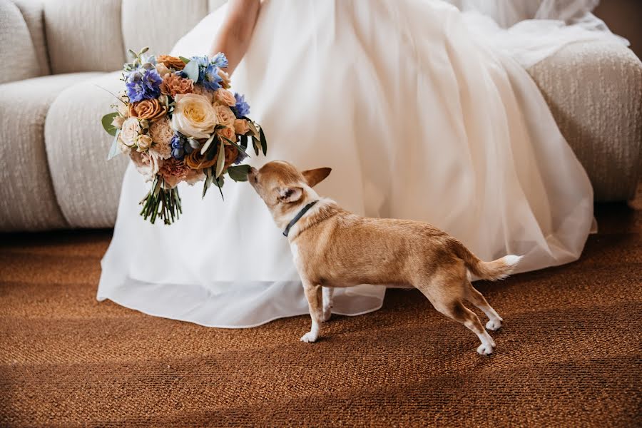 Wedding photographer Aleksandra Nowak (czterykadry). Photo of 18 October 2023