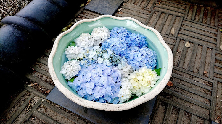 タフトの稲沢あじさいまつり・大塚性海寺公園・雨上がりドライブ・梅雨入りはいつかな？・いつもイイネ&コメントありがとうございます🙇‍♂️に関するカスタム事例の投稿画像14枚目