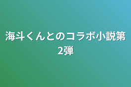 海斗くんとのコラボ小説第2弾