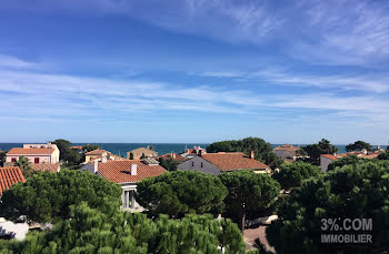 appartement à Saint-Cyprien (66)