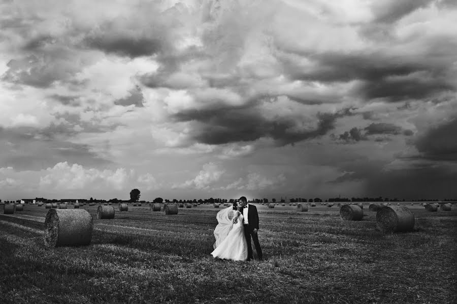 Wedding photographer Anna Płóciennik (annaplociennik). Photo of 3 December 2014