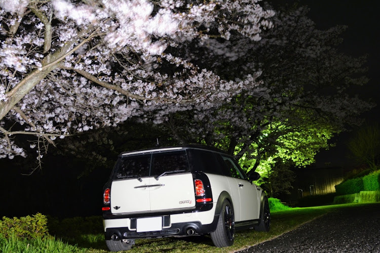Clubman Cooper Sの夜桜🌸リベンジ❗️・カメ活📷️・家の裏に関するカスタム事例の投稿画像4枚目