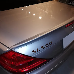 SL R230