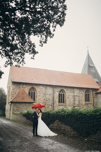 結婚式の写真家Andrey Medvedyuk (medvediuk)。2017 1月30日の写真