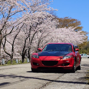 RX-8 SE3P