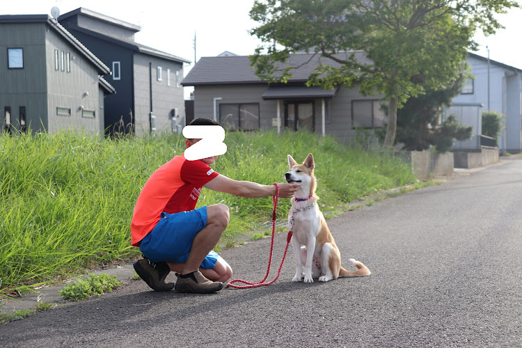 の投稿画像8枚目