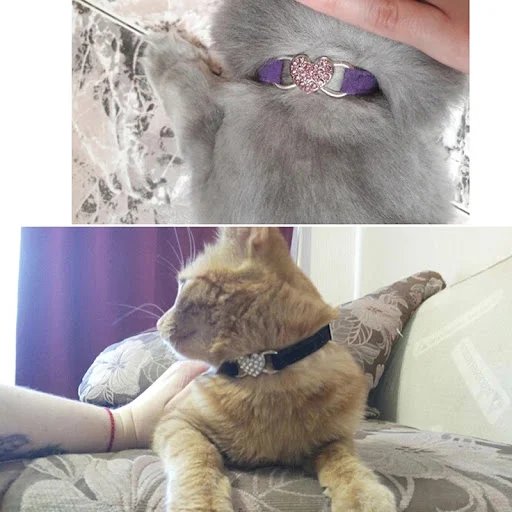 Cat Collar DIY Rhinestone Cat Dog Collar for Puppy Small Dogs Pet Kitten Cat Collar Necklace Colorful Diamond Bell Cat C