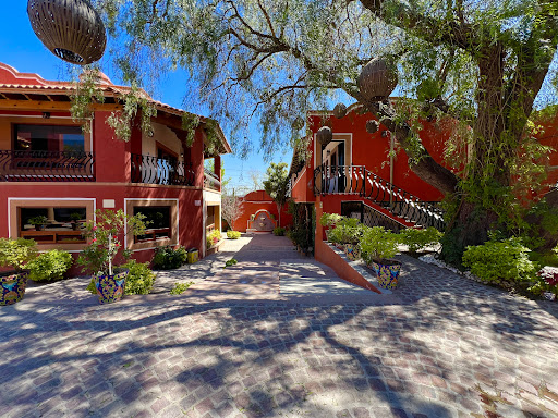 Property with garden 1