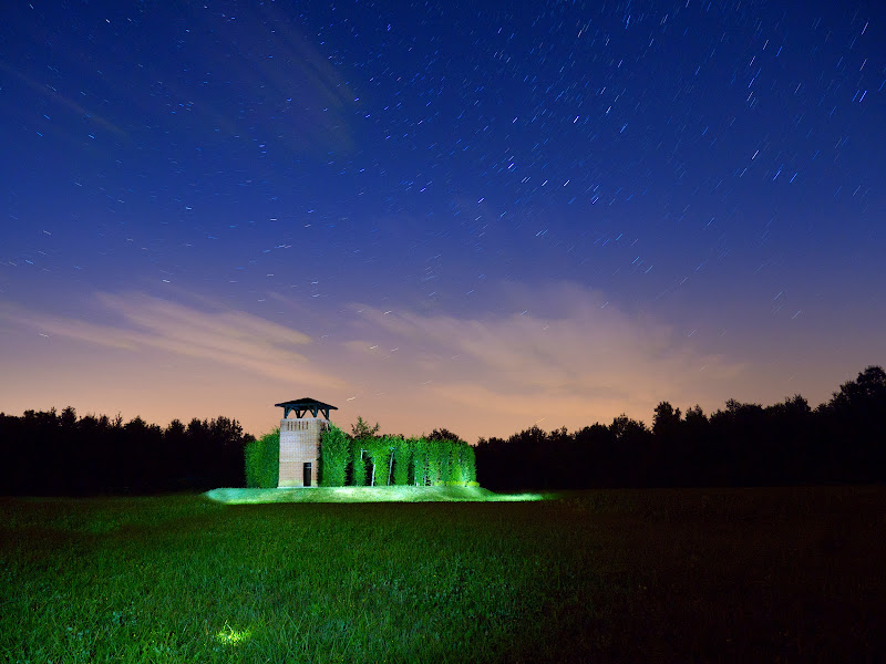 Nel bosco di notte di Luca Biasotto