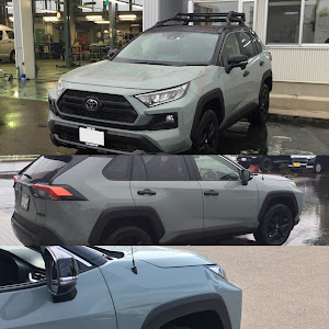 RAV4