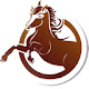 Horses Background HD Custom New Tab