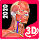 Anatomy Learning  icon