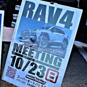 RAV4 MXAA54