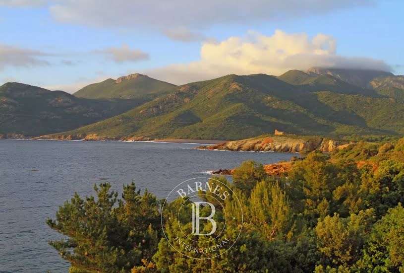  Vente Terrain à bâtir - à Calvi (20260) 