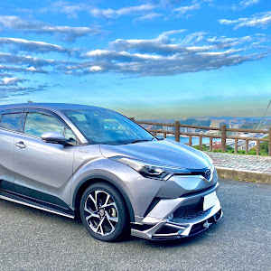 C-HR ZYX10