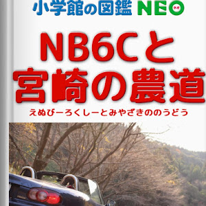 ロードスター NB6C