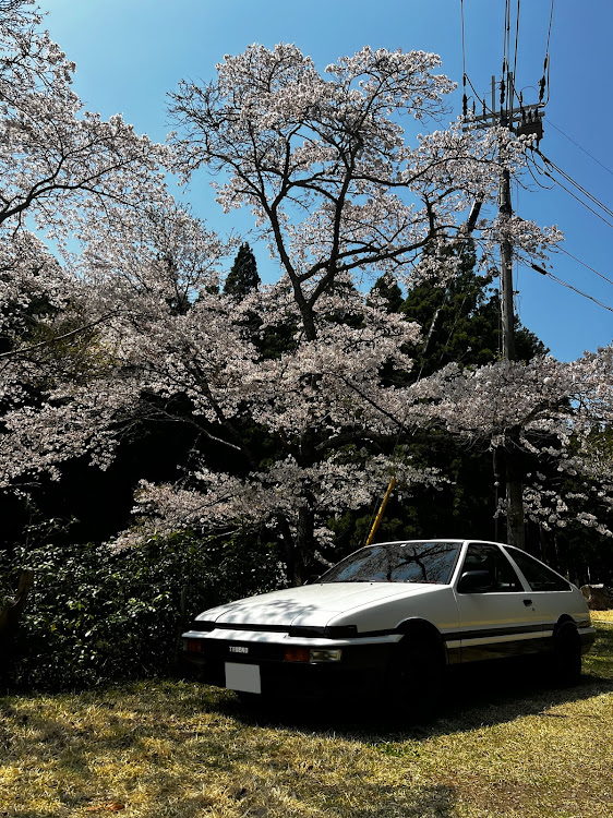 の投稿画像2枚目