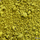 gold cobblestone lichen