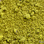 gold cobblestone lichen