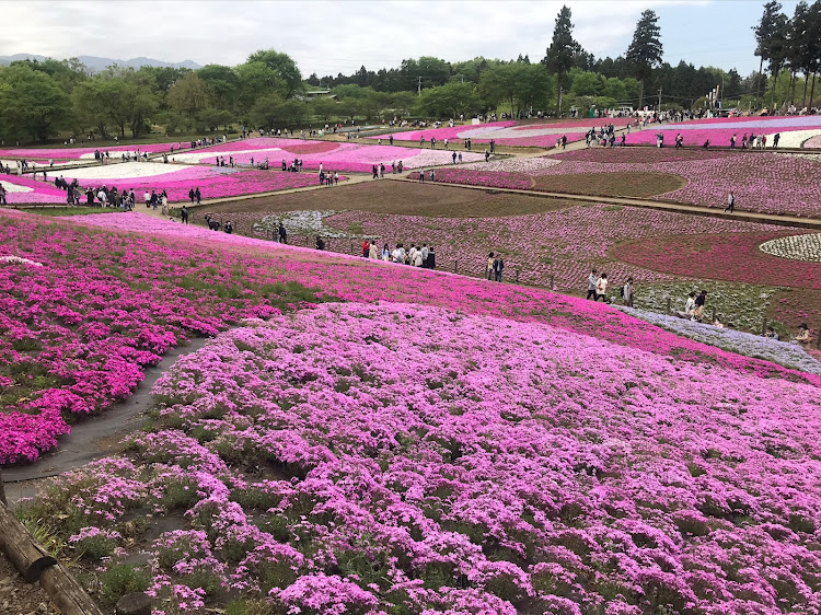 の投稿画像8枚目