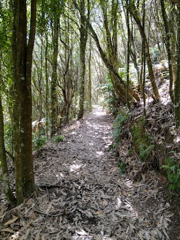 Rainbow Mountain Scenic Reserve Summit Track