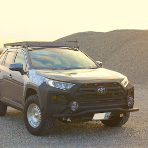 RAV4 MXAA54