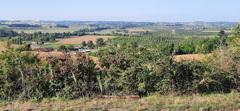 terrain à Duras (47)